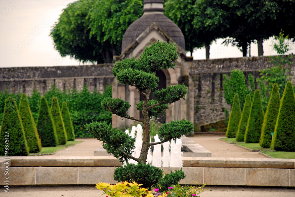 View of a bonsai in a park in Limoges city