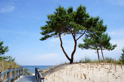Strandaufgang Usedom 1