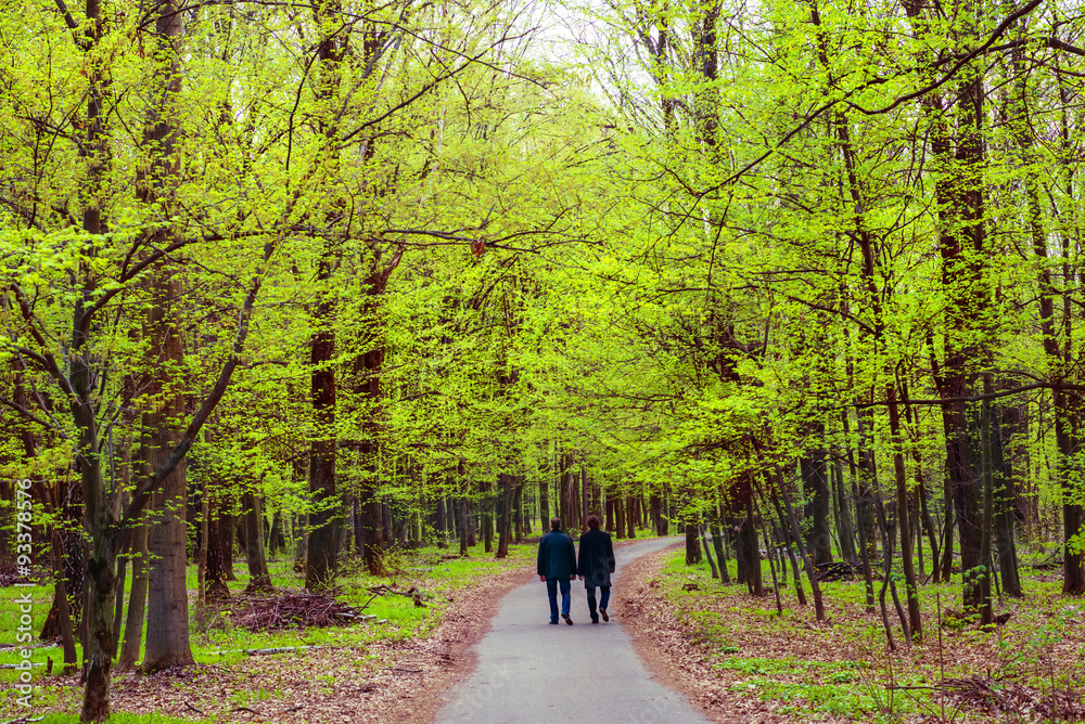 Two men walking in park