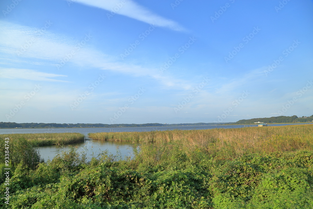 Fototapeta premium 印旛沼の景色（千葉県印西市）