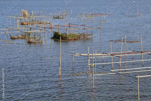 印旛沼の養殖柵