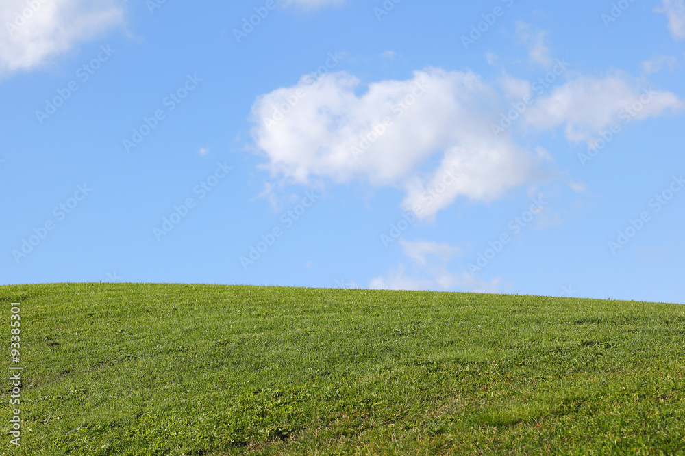 青空と草原　Green field under blue sky