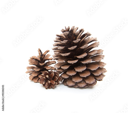 Three fir cones. All on white background