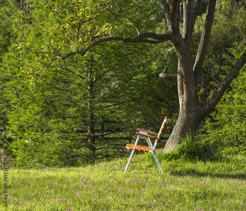 Folding chair standing under the spring ceiba tree on a hill