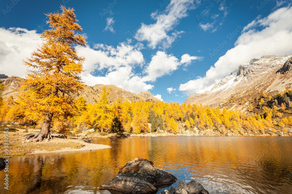 paesaggio autunnale paesaggio autunnale