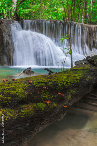 Waterfall in Deep Forest