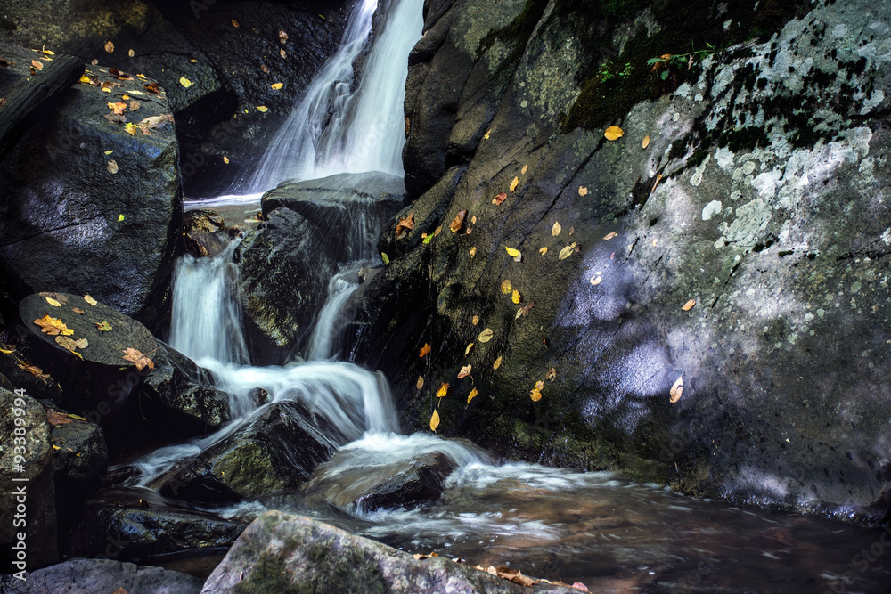 Obraz premium Cascading Falls