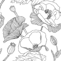 Acrylglasbilder Mohnblumenmuster Lineare Mohnblume Minimalistisches Muster  © Crazy nook