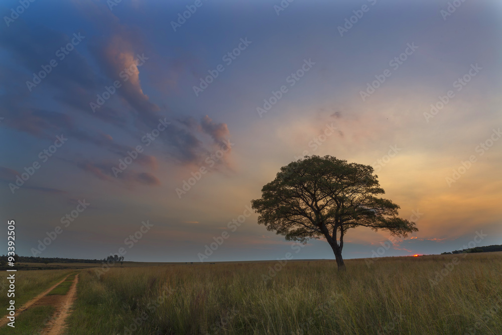 Fototapeta premium Pastel Colours of Sunset