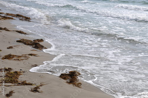 Skagen, Nordspitze Dänemarks, Dänemark, Sandstrand, Strand, Wellen photo