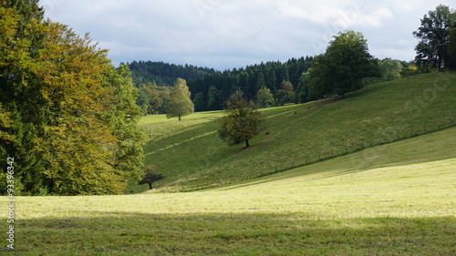 Landschaft bei Helberg, Oberbergisches Land, Deutschland