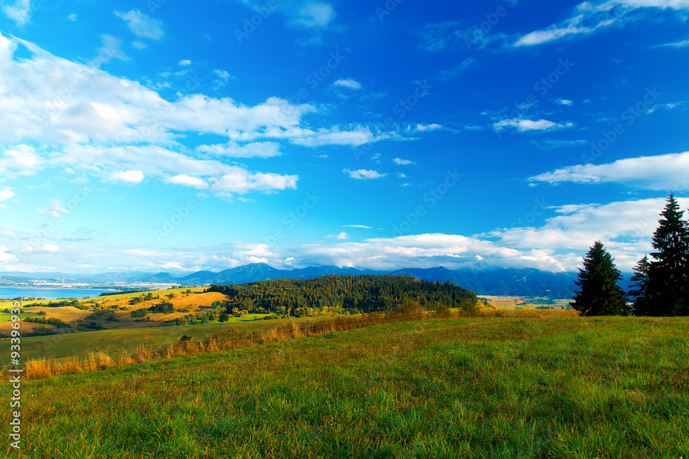 Obraz premium Beautiful landscape, green and yellow meadow with mountain