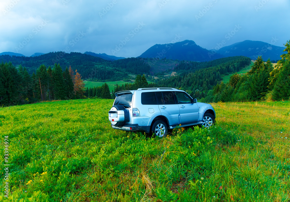 car in landscape with  mountain and yellow, green meadows