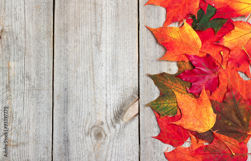 Autumn leaves on a wooden background