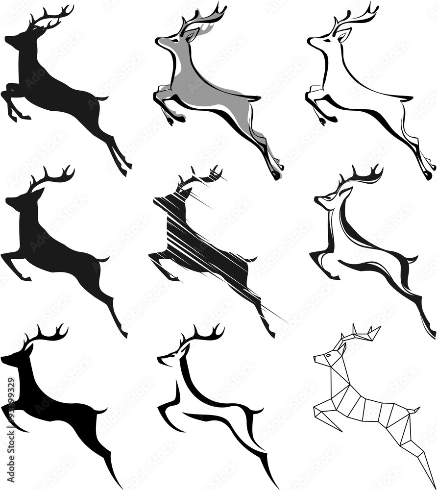 deer deer