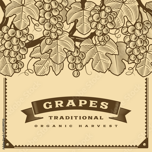 Retro grapes harvest card brown