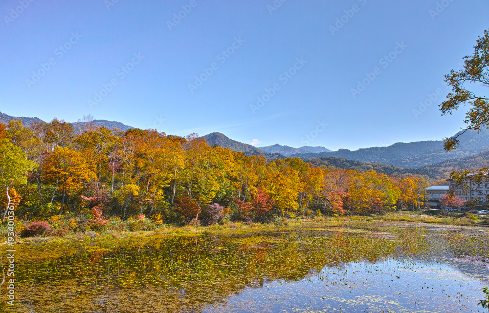 紅葉シーズンの志賀高原　蓮池