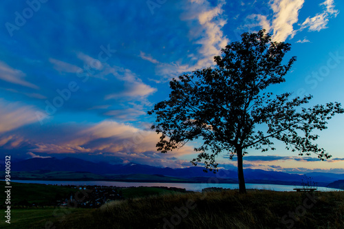 Night lake and Tree with dark blue sky