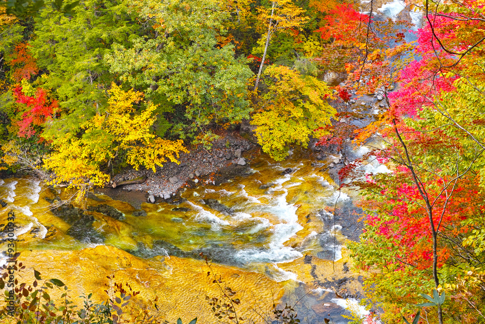 秋の紅葉シーズンの秋山郷の渓谷
