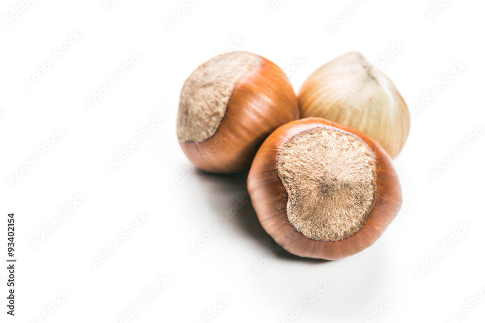 Hazelnuts isolated Hazelnuts isolated