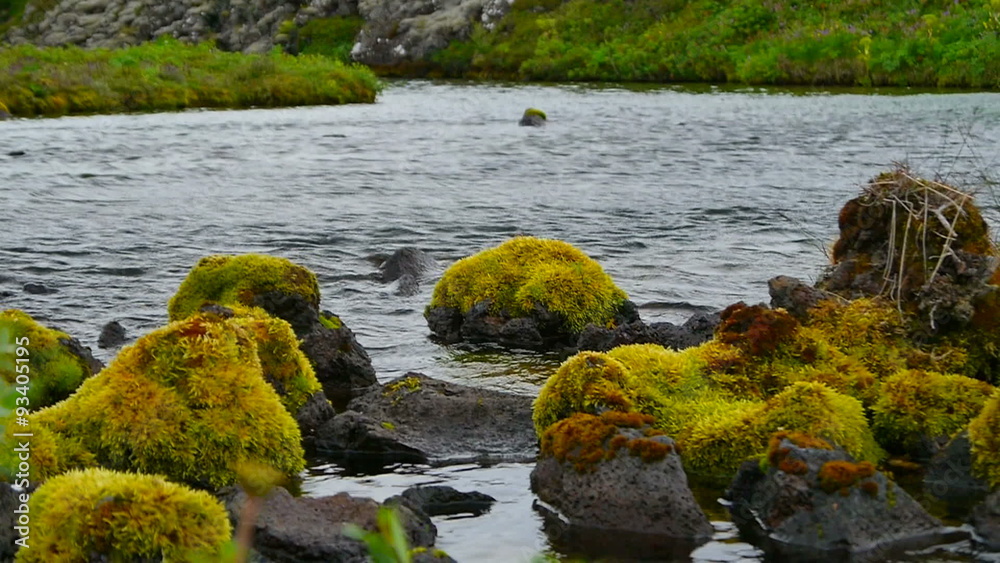 Lake and stones in Iceland Lake and stones in Iceland