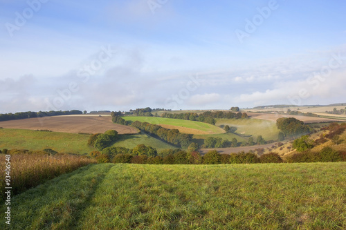 autumnal landscape