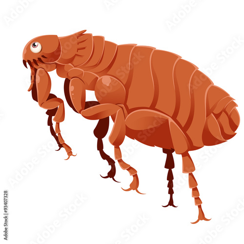 Cartoon Flea