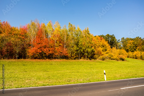 Farbpracht im Herbst