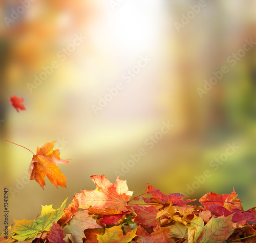Falling Autumn Leaves background