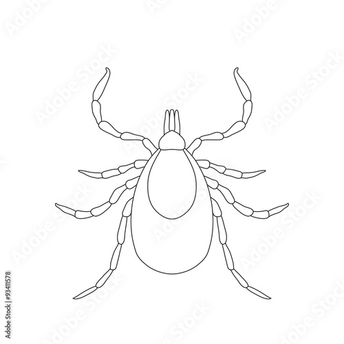 Tick parasite. Sketch of Tick. Mite. Tick isolated on white