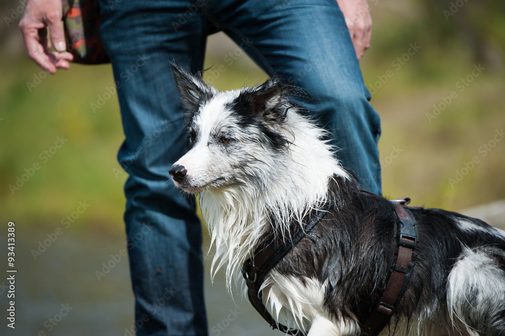 Fototapeta premium Mann mit Hund