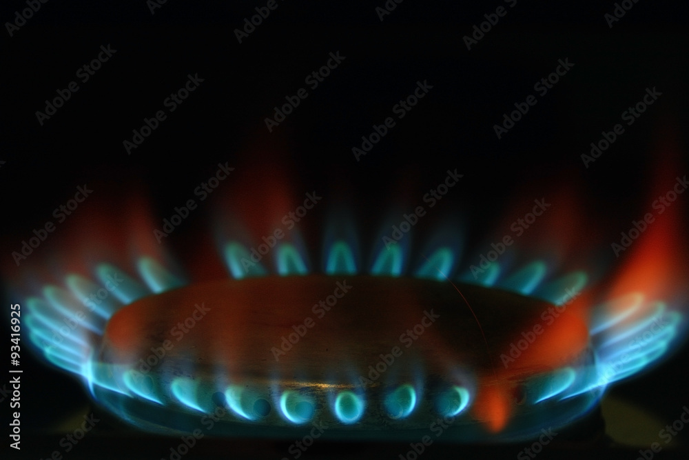 burner gas cooker
