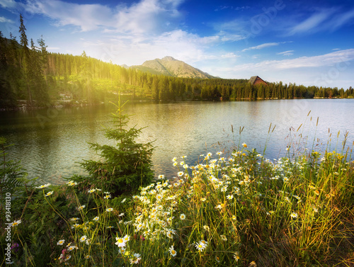 Nature mountain scene with camomiles and lake