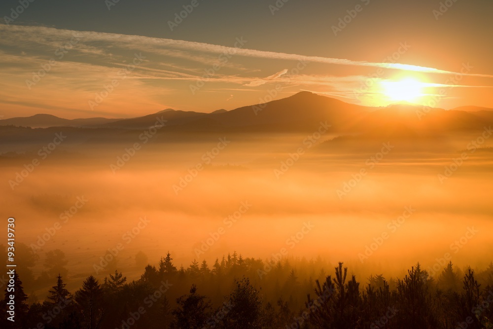 Misty dreamy landscape at begining of November. Colors of autumn.