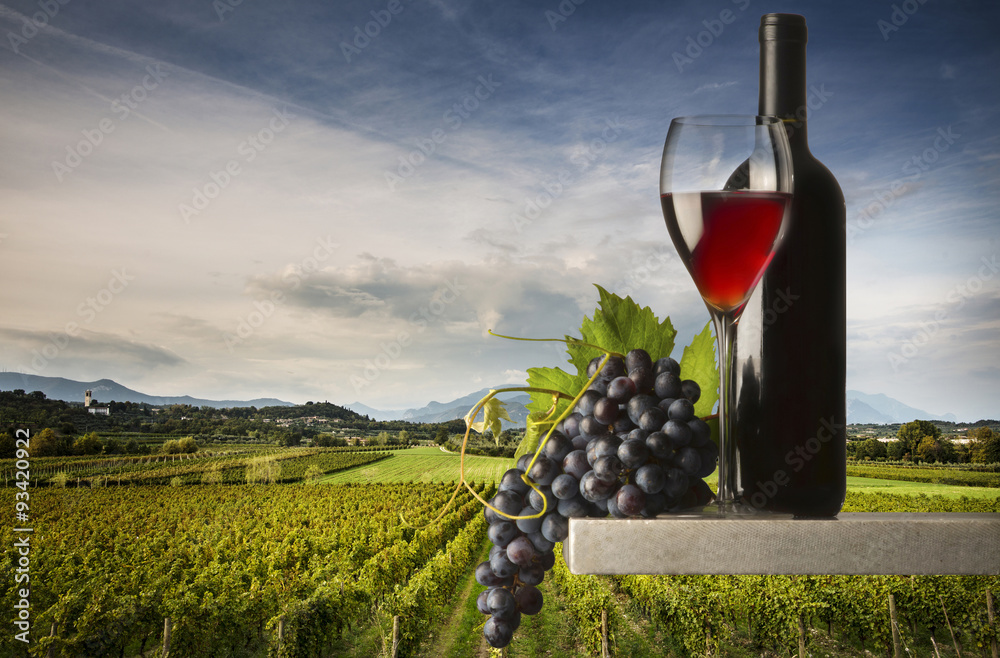 Glasses of wine in the vineyard
