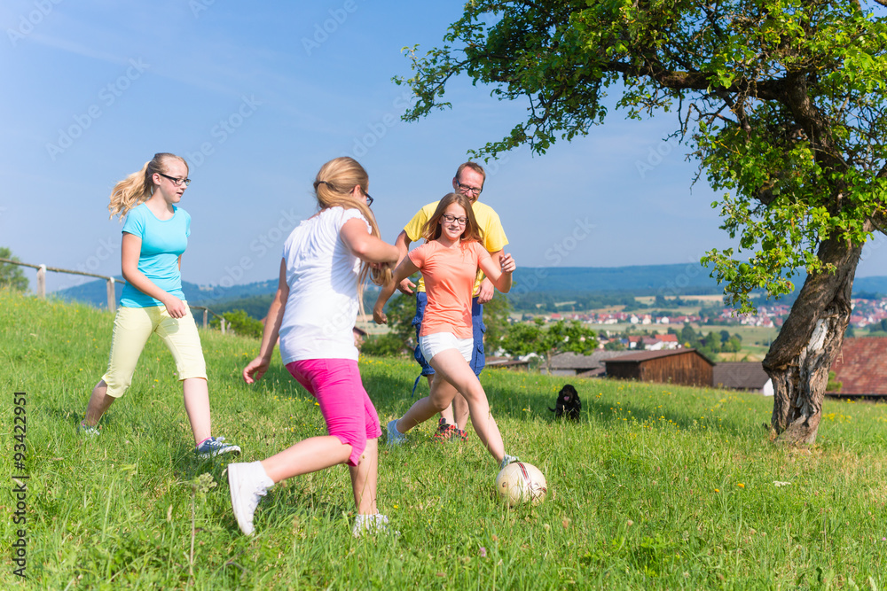 Obraz premium Family playing soccer on meadow in summer