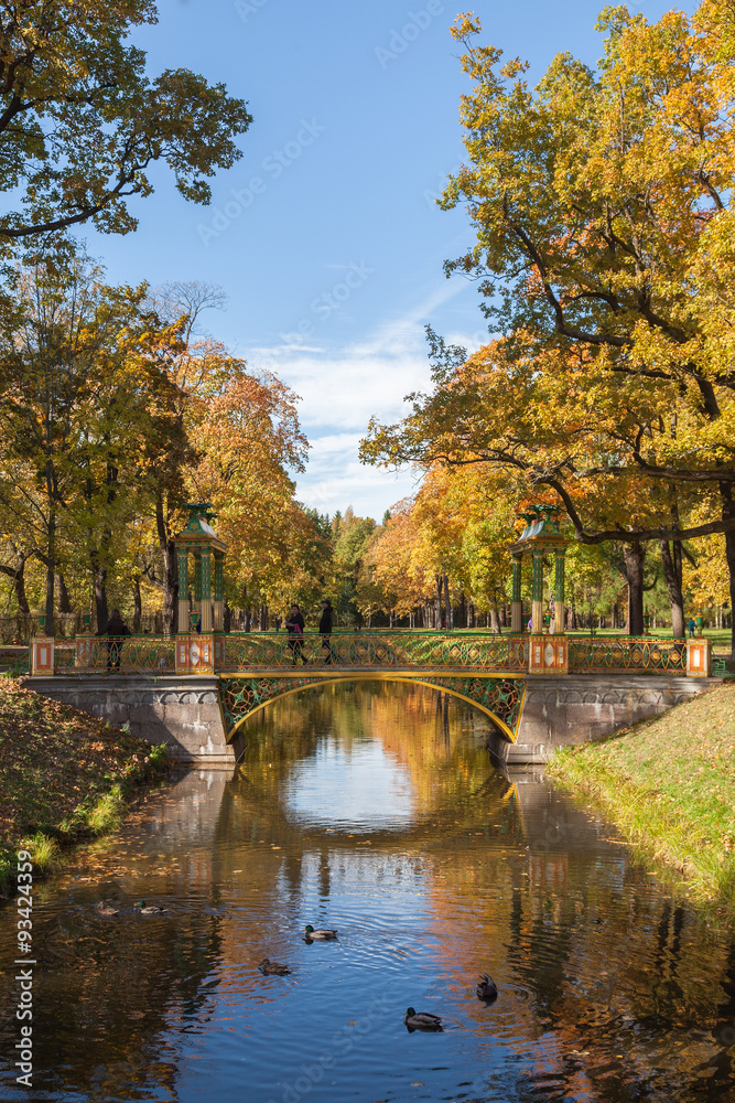 Fototapeta premium Small Chinese bridge in the Alexander Park of Tsarskoye Selo