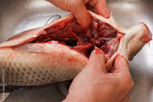 Fotografi Gutting of freshly caught fish carp, cleaning the inside
