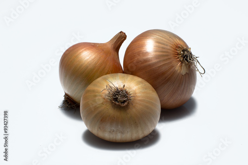 onion vegetable