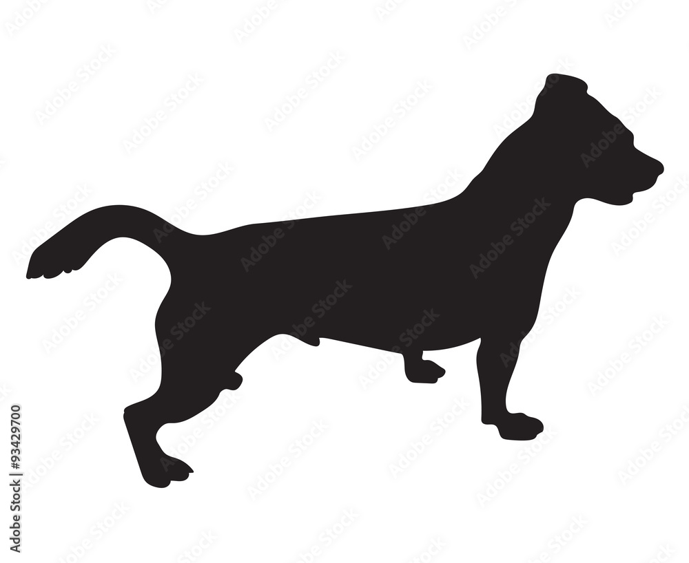 black silhouette of jack russell terrier dog