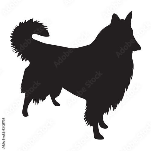 black vector silhouette of Rough Collie dog