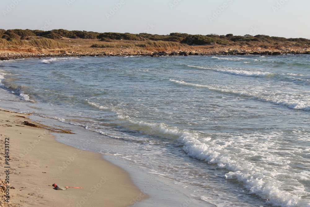 The coast of the Aegean Sea in Turkey, water, sand, grass, trees, beach