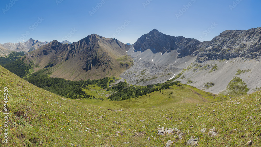 Fototapeta premium Alpine Meadow in the Rocky Mountains Alberta Canada