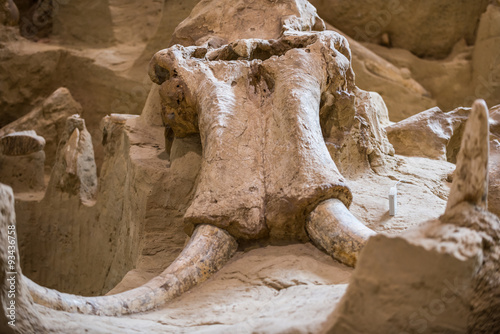 Mammoth Site photo