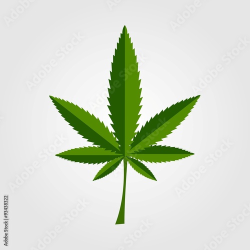 Green cannabis leaf icon design