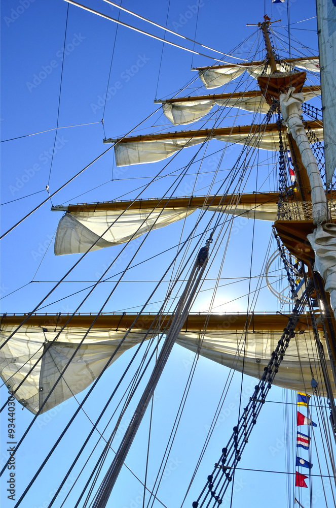 Fototapeta premium Barco velero