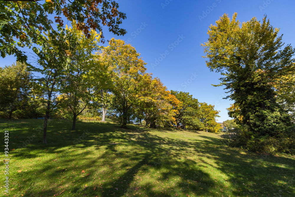 Naklejka premium Friedenthalpark, Berlin-Grunewald, Deutschland