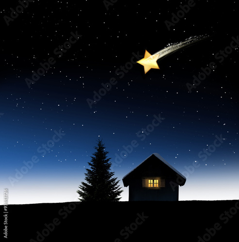 Weihnachtsstern mit Stall und Tannenbaum