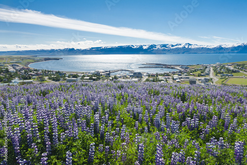 Vászonkép Husavik