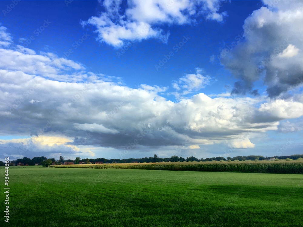 blue sky with clouds over green farmland